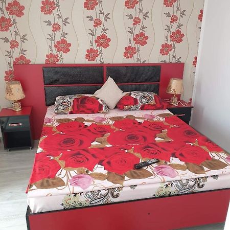 Apartament Alina サターン エクステリア 写真
