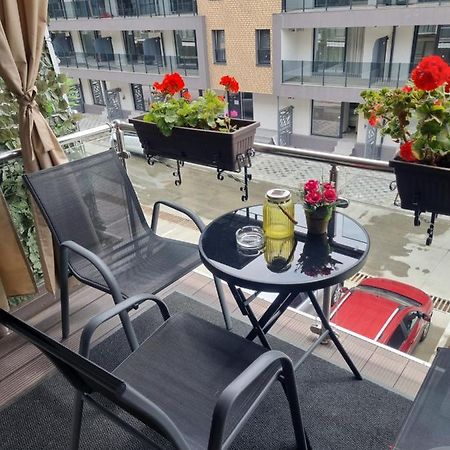 Apartament Alina サターン エクステリア 写真