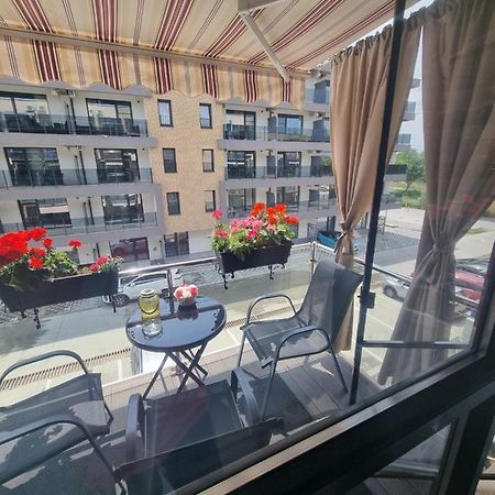 Apartament Alina サターン エクステリア 写真