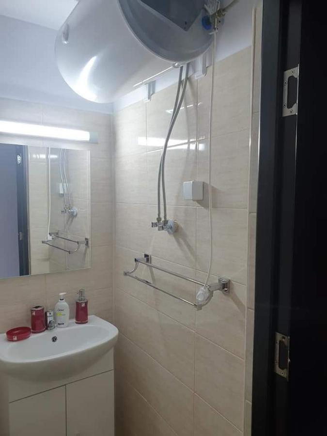 Apartament Alina サターン エクステリア 写真