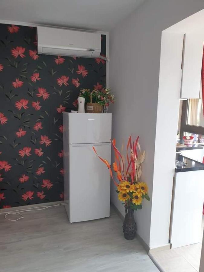 Apartament Alina サターン エクステリア 写真