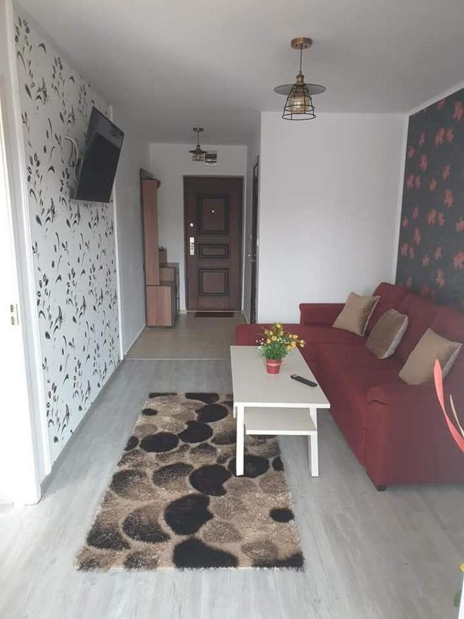 Apartament Alina サターン エクステリア 写真