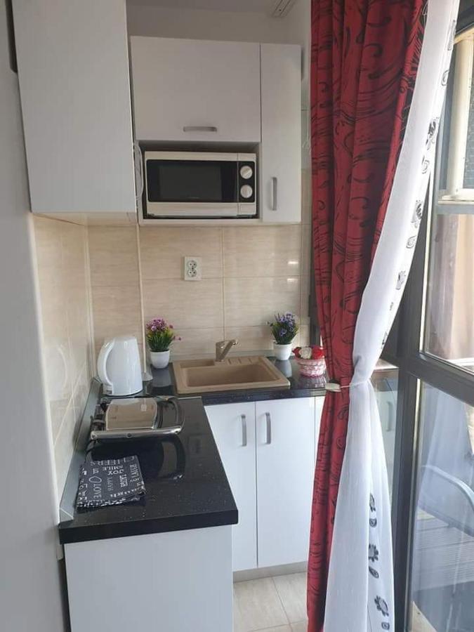 Apartament Alina サターン エクステリア 写真