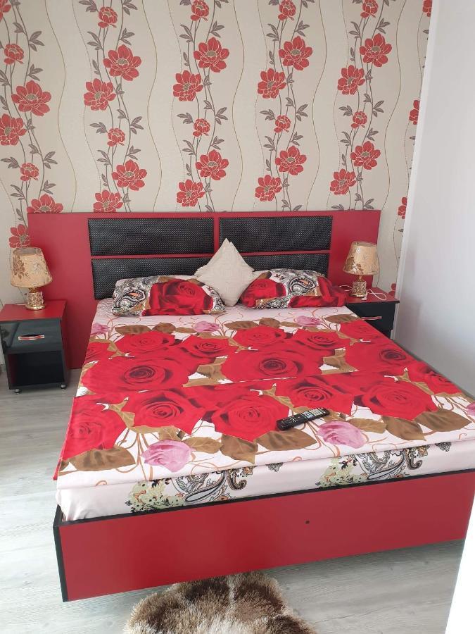 Apartament Alina サターン エクステリア 写真