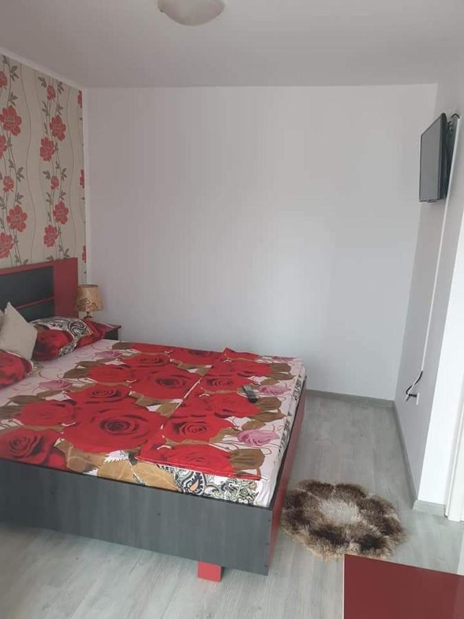 Apartament Alina サターン エクステリア 写真