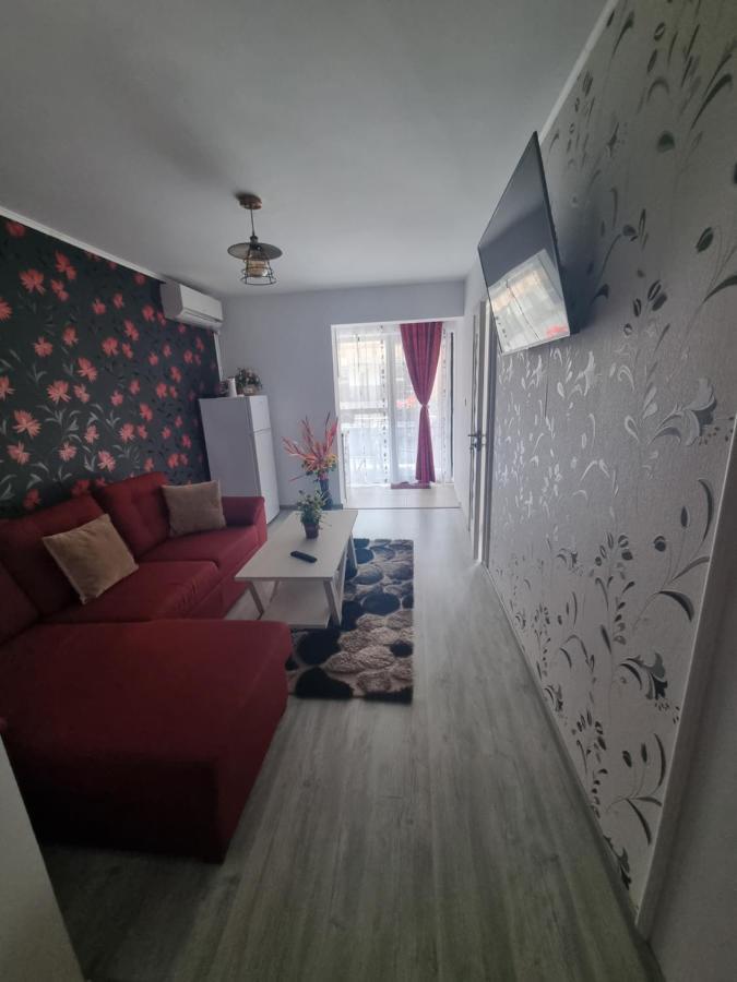 Apartament Alina サターン エクステリア 写真